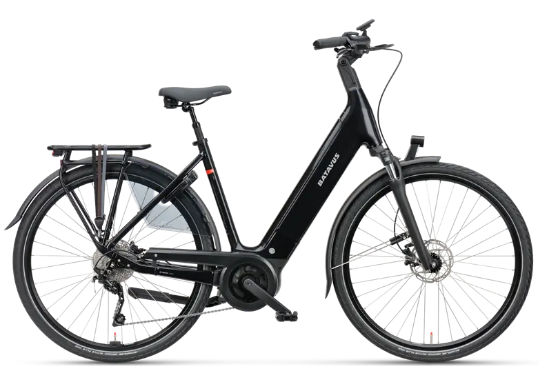 Rower-elektryczny-BATAVUS-Finez-E-Go-Power-Sport.webp