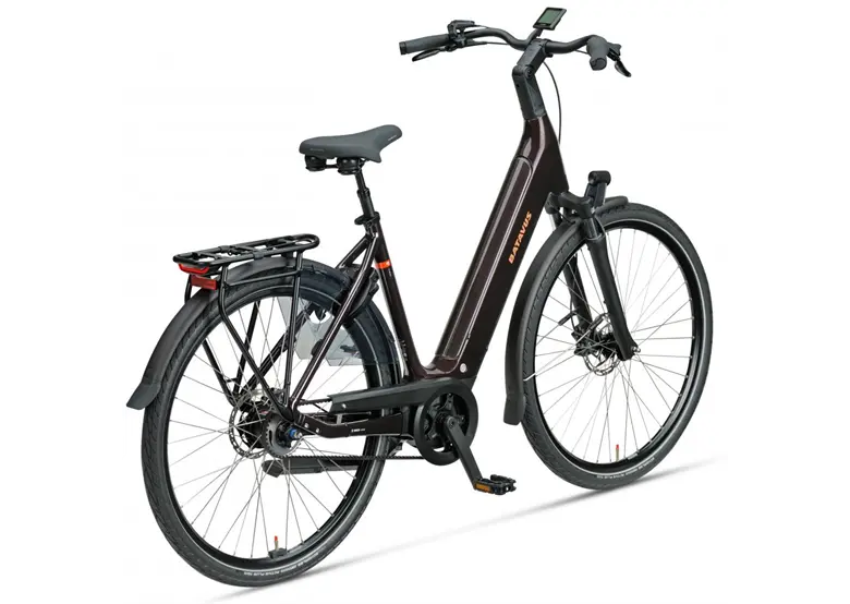 Rower-elektryczny-BATAVUS-Finez-Power-Exclusive-2.webp