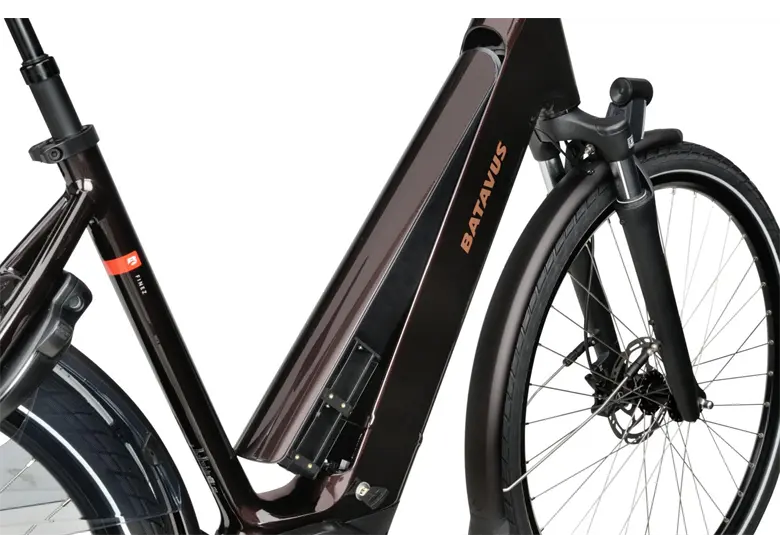 Rower-elektryczny-BATAVUS-Finez-Power-Exclusive-4.webp