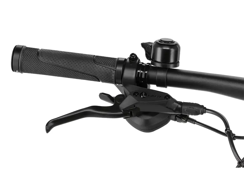 Rower-elektryczny-BESV-TRX-1.5-LS-8.webp
