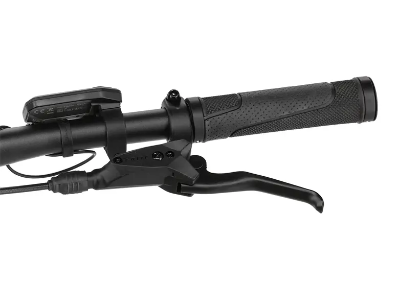 Rower-elektryczny-BESV-TRX-1.5-LS-9.webp