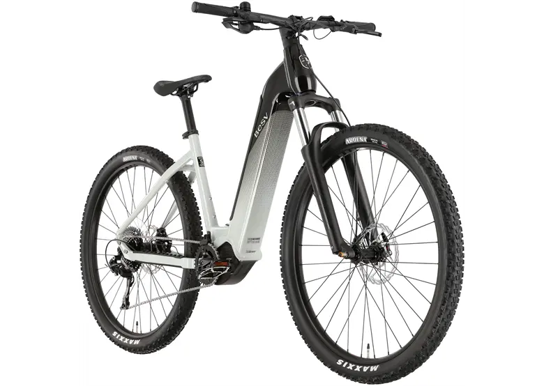 Rower-elektryczny-BESV-TRX-1.5-LS.webp