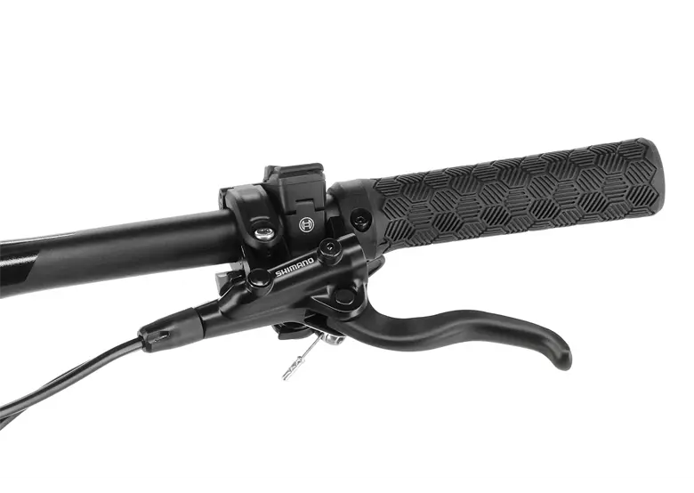 Rower-elektryczny-BULLS-Sonic-AM-SX-1-9-1.webp