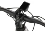 Rower-elektryczny-damski-KELLYS-Tayen-R50-P-29-1.webp