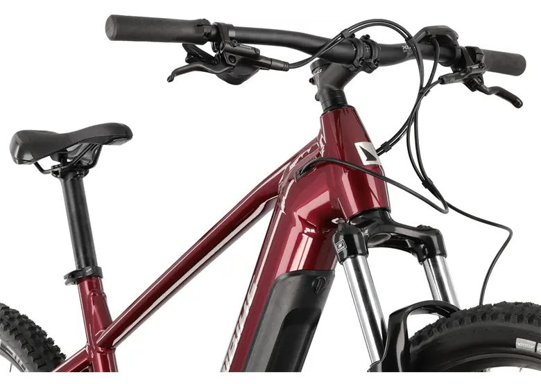 Rower-elektryczny-HAIBIKE-AllTrack-5-29-Cues-3.webp