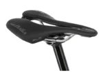 Rower-elektryczny-R-RAYMON-AirRay-12.0-X01-1.webp