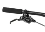 Rower-elektryczny-R-RAYMON-AirRay-12.0-X01-1.webp