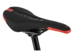 Rower-elektryczny-R-RAYMON-AirRay-12.0-X01-13.webp
