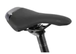 Rower-elektryczny-damski-KELLYS-Tayen-R50-P-29-1.webp