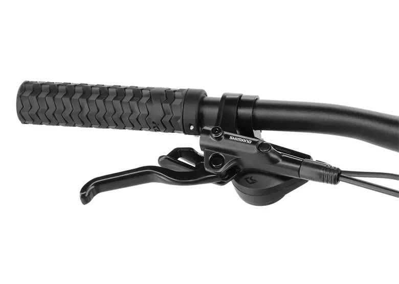 Rower-elektryczny-damski-KELLYS-Tayen-R50-P-Cues-8.webp