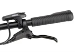 Rower-elektryczny-damski-R-RAYMON-TourRay-E-3.0-Lady-T350-1.webp